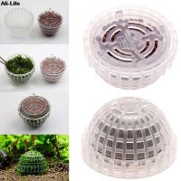 hot【cw】 New Aquatic Supplies Decorations Aquarium Moss Filter Accessories