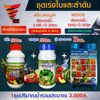 สินค้าชุด เร่งความสมบูรณ์ของลำต้นและใบ 1.พี่บิ๊ก 500มล.(ฮอร์โมน) + 2.ฟอร์มูล่า 500มล.(สารจับใบ) + 3.WESCO (ปุ๋ย 30-20-10) 3กก. / ผสมน้ำได้ 2,000ล.