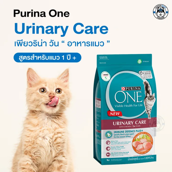 PURINA ONE URINARY CARE อาหารแมวเพียวริน่าวัน 380g. | Lazada.co.th