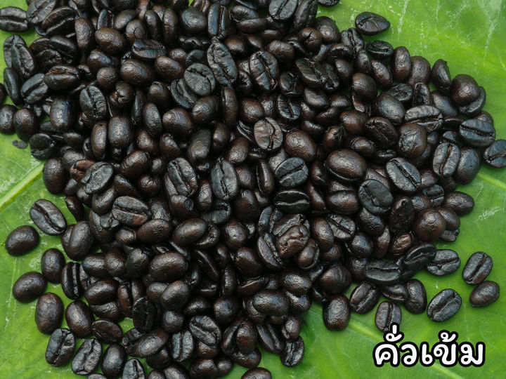 เมล็ดกาแฟคั่ว-arabica100-ดอยช้าง-จ-เชียงราย