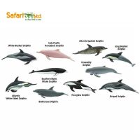 10ชิ้นเซ็ต Dolphin Delphinidae Mini สัตว์สลาย Sea Life รุ่นของเล่นคลาสสิกสำหรับ Boy 100475