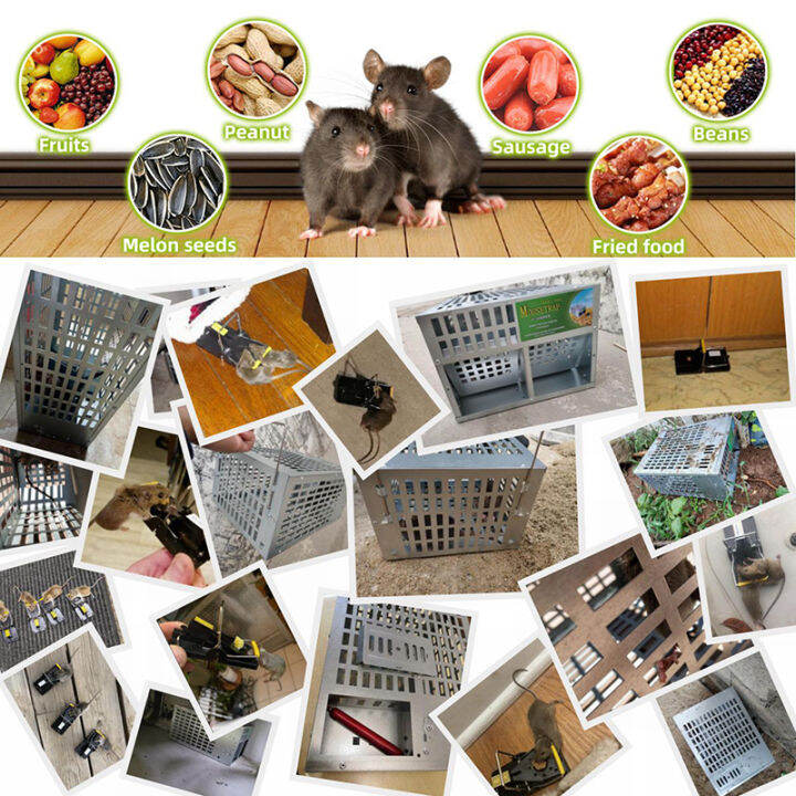 IRONBOX [READY STOCK] Newly Mouse Cage Trap Multi-Catch / 2 doors Rat