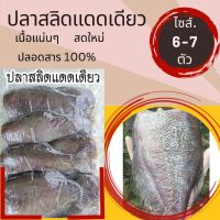 ปลาสลิดแดดเดียว ปลาสลิดแดดเดียวทอดพร้อมทาน เนื้อฟู ปลอดสาร ขนาด 6-7 ตัว/กก. ใหม่ สด สะอาด อร่อยทุกคำ(ทำตามออเดอร์)