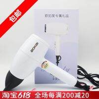 Aupres Couters ของขวัญ Eric R เครื่องเป่า Coet Se Ericity Househod Tre Dor Porte Sm Power