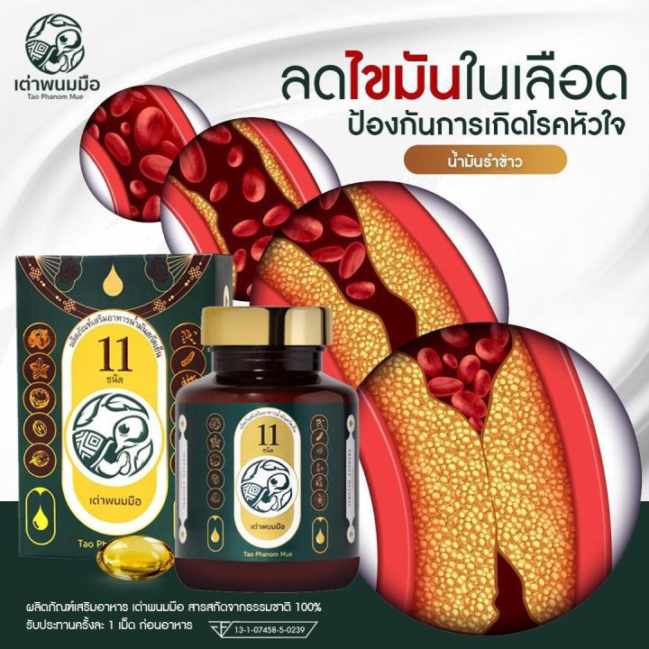 เต่าพนมมือ-น้ำมันสกัดเย็น-11-ชนิด-ซื้อ-4-แถม-7-ฟื้นฟูระบบในร่างกายให้กลับมาทำงานได้ดี-1-ขวด-x-30-แคบซูล-ส่งฟรี