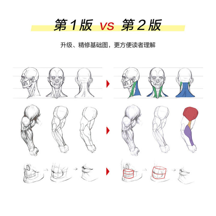 เกมภาพเคลื่อนไหว-human-body-โครงสร้างแบบจำลองมือวาดหนังสือเทคนิค