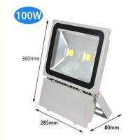 สปอร์ตไลท์ LED Ourdoor Light 100 w  1ชิ้น ( สี วอร์ม)