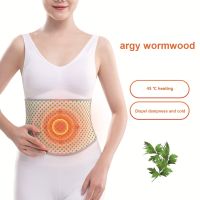 【CW】 Wormwood Waist Warm Brace Pain heating Lumbar Heating Support Thermal for Outdoor