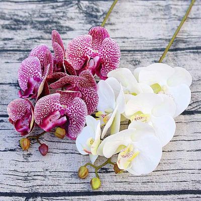 【CC】 Small Orchid 6 Heads/Bundle Fake Drapery Wall Wedding Decoration Diy Artificial Phalaenopsis