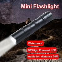 Aluminum Alloy Pocket Torch Light Night Outdoor Lighting Tools Hiking Caping Fishing Cycling LED Flashlight Emergency Light