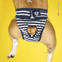 Pet Dog Physiological Pants Pet Striped Menstrual Panties Dog Sanitary Panty Anti-Harassment Pet Clothes Clothing Dog Diapers