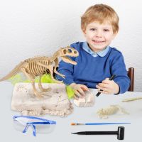 Dinosaur Fossil Excavation Kit Toys Jurassic Animal Skeleton Model Kid Digging Archaeological Education Game Children Boy Gift