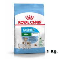 พลาดไม่ได้ โปรโมชั่นส่งฟรี Royal Canin Mini Starter Mother &amp; Baby Dog อาหารสุนัขพันธุ์เล็ก-แม่สุนัขตั้งท้อง-ให้นม (ขนาด 1 Kg.)