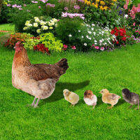 Leetshop 1 ชุด Lawn Chicken Stake Simulation Chicken หลาศิลปะป้ายกำกับไก่ป้ายลูกไก่ขนาดเล็ก