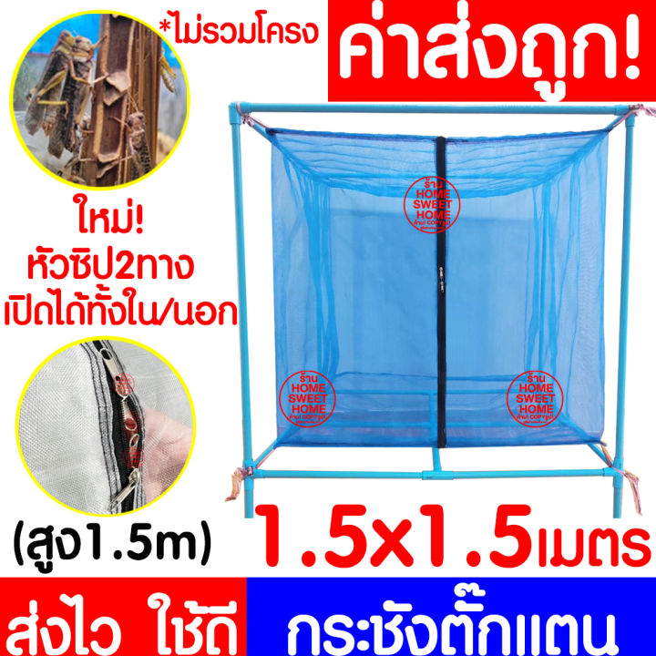 ค่าส่งถูก-กระชังตั๊กแตน-มุ้ง-1-5x1-5ม-สูง1-5ม-กระชังแมลง-กระชัง-กระชังบก-กระชังเลี้ยงตั๊กแตน-กระชังเลี้ยงแมลง-ตั๊กแตน-ปาทังก้า-ส่งไว