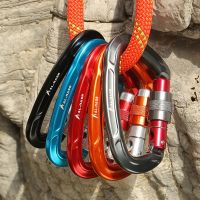 Rock Climbing Carabiner 25KN Professional Mountaineering D Shape Screw Gate Lock Buckle Carabiners Ascend Equipement
