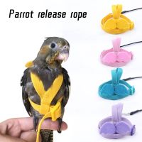 Adjustable Harness Leash Set Anti-bite Training Parrots Outdoor Flying Rope Cockatiel Small Birds Supplies