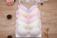 ชุดชั้นในเด็กโต สาววัยรุ่น BRA SET เสื้อใน ยกทรง ชุดชั้นในสตรี ใส่สบาย ลายลูกไม้ cotton Bra ( แบบเดียว)