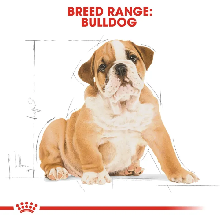 royal-canin-bulldog-puppy-12-kg-อาหารลูกสุนัขบลูด็อก-ไม่เกิน-1-ปี-บำรุงเฉพาะสายพันธุ์