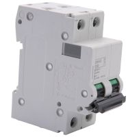 C65H-DC 2P 250V Miniature Circuit Breaker 63A for Solar Panel Grid System Wind Energy and Solar Hybrid System DC System