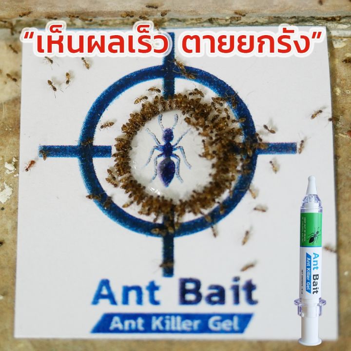 ant-bait-กำจัดมด-เจลกำจัดมด-เหยื่อกำจัดมด-เหยื่อมด-เหยื่อล่อมด-เจลมด-เหยื่อฆ่ามด-ยาฆ่ามด