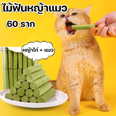 【Cai-Cai】ไม้ฟันหญ้าแมว ไม้ขัดฟัน 60 ราก ใหญ่พิเศษ ขนาดเหมาะกับแมวมากที่สุด