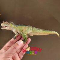 Monkey Toys - โมเดล ไดโนเสาร์ Ceratosaurus เขียว ขนาด 20.50 CM (จากหาดใหญ่)