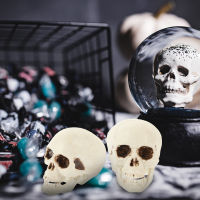 Gerpo【Hot】 4 pcs จำลองโครงกระดูกหัวรุ่นฮาโลวีน Skull Prop Mini Skulls ตกแต่ง Party Props