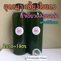 ชุดเพาะเลี้ยงไรแดง+น้ำเขียวคลอเรลล่า(1ลิตร)