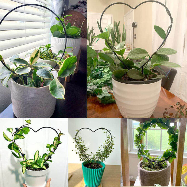 Plant Support for Indoor Plants Metal Plant Stake for Climbing House