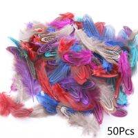 50Pcs 5-8cm Feathers Plumes Colourful Feather Crafts Decoration Jewelry Accessories