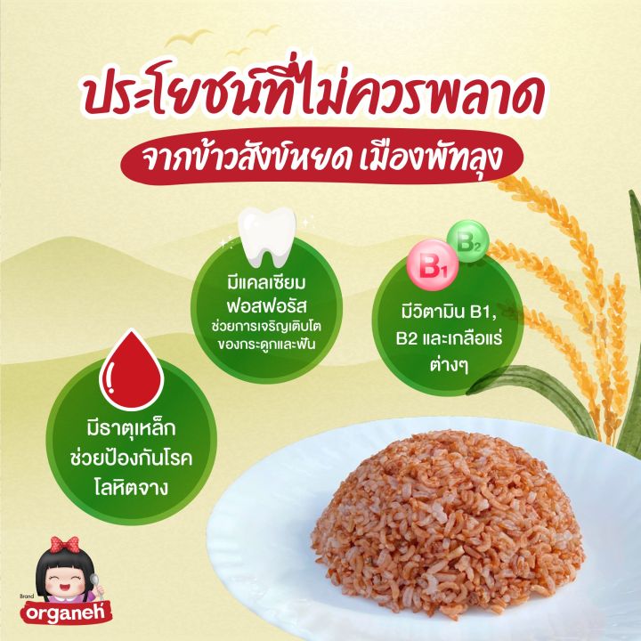 ข้าวสังข์-หยดเมืองพัทลุง-ข้าวออแกนิค-ได้รับรองgi