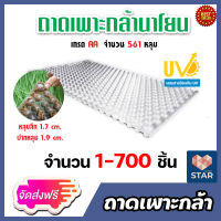 **ส่งฟรี**ถาดเพาะกล้านาโยน 561 หลุม  มีให้เลือก 1-700 ชิ้น เพาะกล้าข้าว ถาดนาโยน ถาดเพาะกล้า ถาดเพาะต้นข้าว ถาดเพาะนาโยน