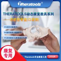 Movable joints theratools female pelvic model mini pelvis postpartum rehabilitation human body skeleton materials