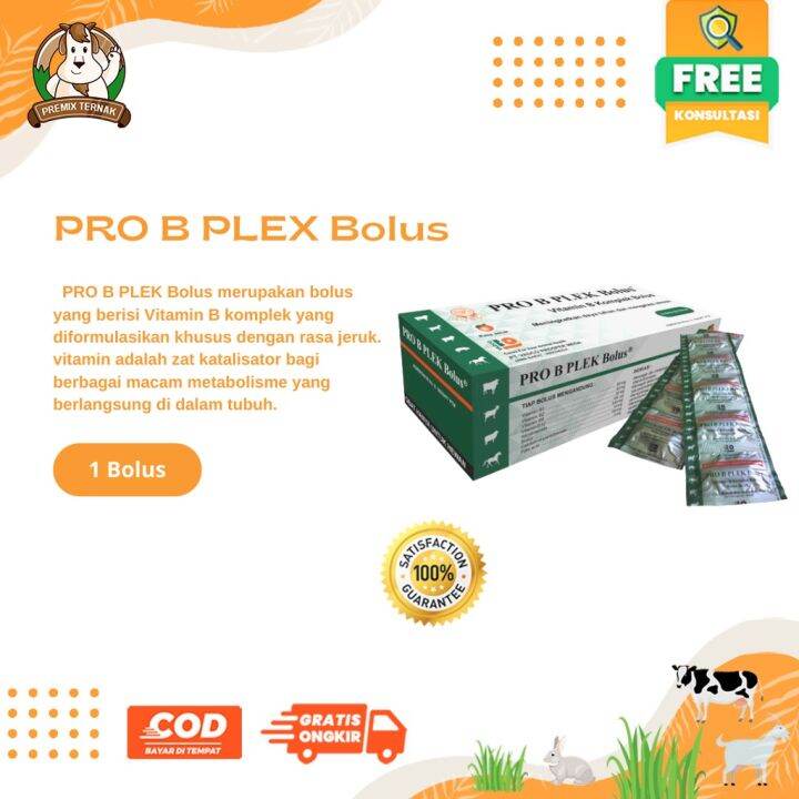 PRO B PLEK BOLUS 1 PCS RASA JERUK - Vitamin B Kompleks Hewan Sapi ...