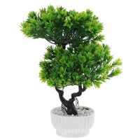 Plastic Outdoor Plants Artificial Flower Bonsai Decor Emulated Pine Tree Simulation 31X27CM Green Household Decoration Office