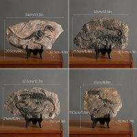 Creative Dinosaur Fossil Resin Craft Decoration Retro Animal Statue Miniature Indoor Living Room Decoration Souvenir Home Gift