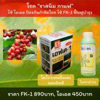 ราสนิมกาแฟ การแฟ ใบไหม้ ใบจุด ราต่างๆ ใช้ ไอเอส สารอินทรีย์ + FK-1 ฟื้นฟู เร่งโต ประสิทธิภาพสูง โปรดอ่านวิธีใช้