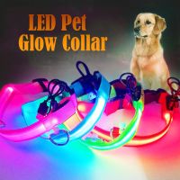 ↂ LED Glowing Dog Collar Adjustable Flashing Rechargea Luminous Collar Night Anti-Lost Dog Light HarnessFor Small Dog Pet Products