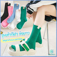 Yolanda ถุงเท้ากีฬา ข้อยาว ผ้าฝ้าย ถุงเท้าข้อกลาง แฟชั่นฤดูใบไม้ร่วง womens socks