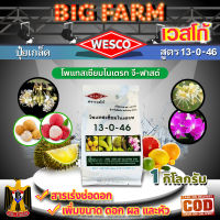 บรรจุ 1 กิโลกรัม WESCO ปุ๋ย 13-0-46 โพแทสเซียมไนเตรท จี-ฟาสต์ ปุ๋ยเกล็ด เวสโก้ สารเร่งช่อดอก เพิ่มขนาด ดอก ผล และหัว