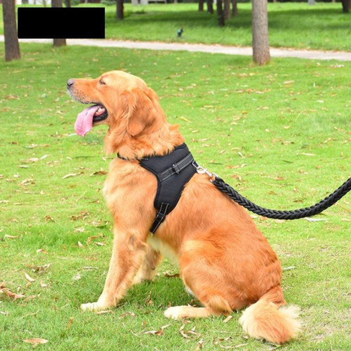 pet-dog-and-cat-adjustable-harness-with-leash-reflective-and-breathable-for-small-and-large-dog-harness-vest-pet-supplies