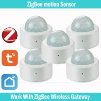 2023✿ Tuya Zigbee 3.0 PIR Sensor Human Detector Security with