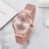 Ms contracted magnetic buckle quartz watches wholesale diamond glass temperament female watch milan strap