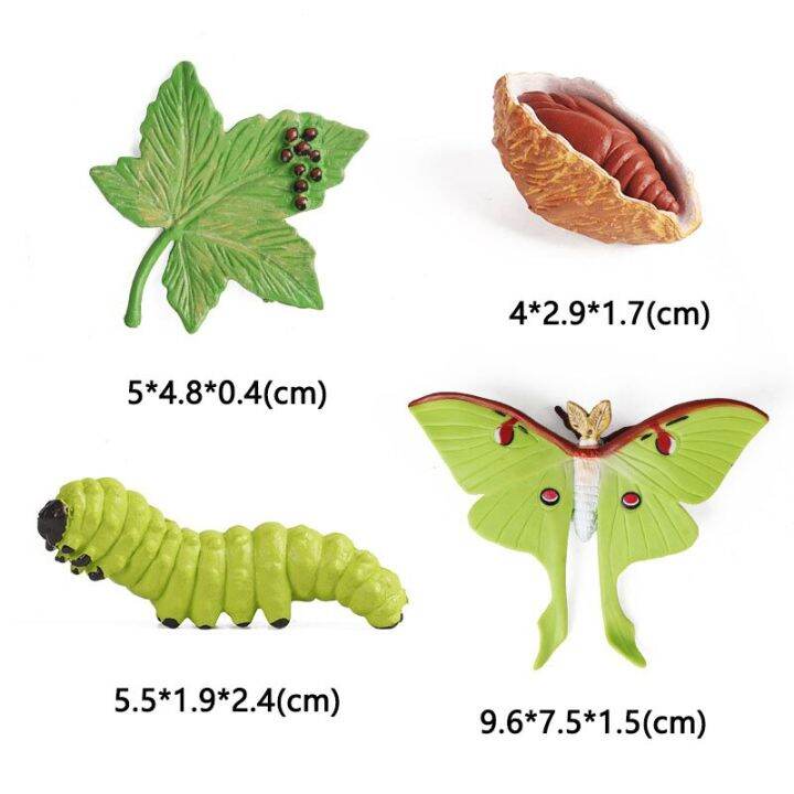 zzooi-latest-lifelike-animals-panda-moth-life-cycle-insect-penguin-frog-figurines-diy-action-figures-early-education-toys-for-children