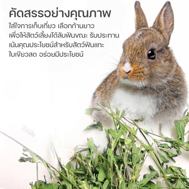 morumaru-หญ้ากล่อง-หญ้ากระต่าย-อาหารกระต่าย