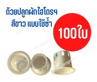 ถ้วยปลูกสีขาว 100 ใบ