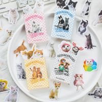 50ชิ้น Kawaii เครื่องเขียนขิงสีดำสีขาวสติกเกอร์รูปแมวขยะ Ephemera หมวกน่ารักสติกเกอร์แมวอัลบั้มดีไอไวสมุดภาพ