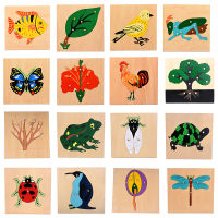 Baby Toy Kids Montessori Cartoon Animal Bird Puzzles for Children Wood for Early Childhood Education Preschool Training Learning