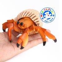 Munich Play - โมเดล Hermit Crab ปูเสฉวน ครีม ขนาด 12.00 CM (จากหาดใหญ่)